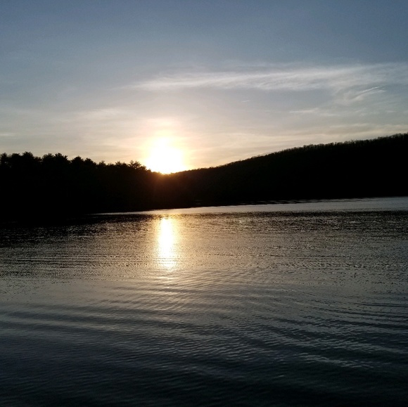 Meet your Posher, Lynn - Picture 1 of 2